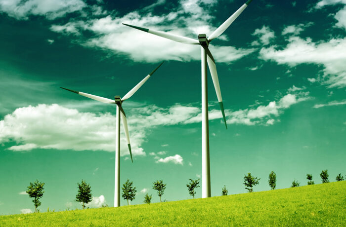 Phasellus fringilla hendrerit