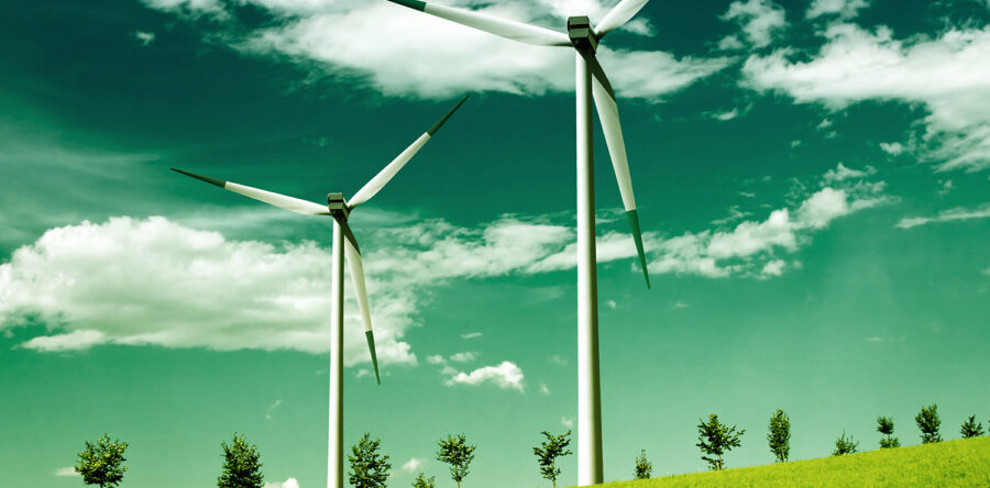 Phasellus fringilla hendrerit