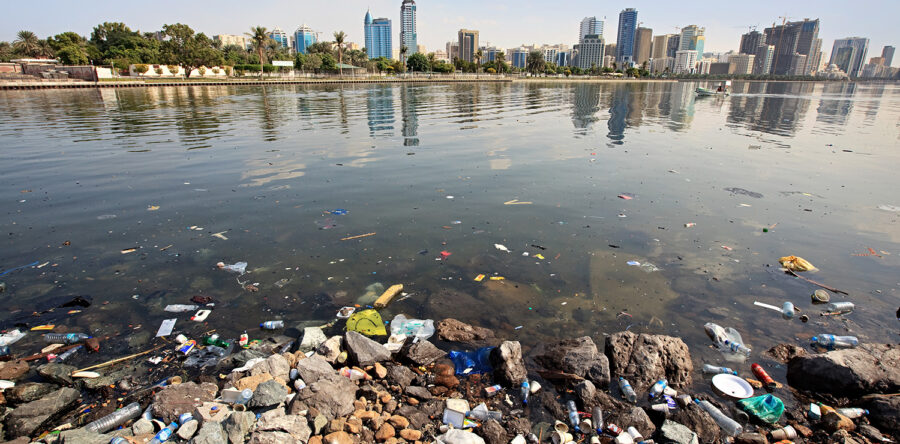 Sed blandit massa vel